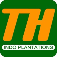 PT TH Indo Plantations